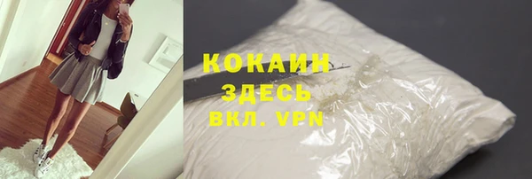 прущий лед Алзамай