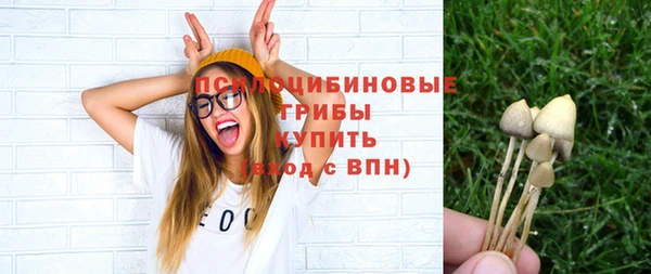 прущий лед Алзамай