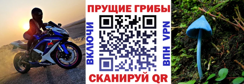 Галлюциногенные грибы мицелий купить сайты Туймазы